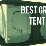 Best Growing Tent